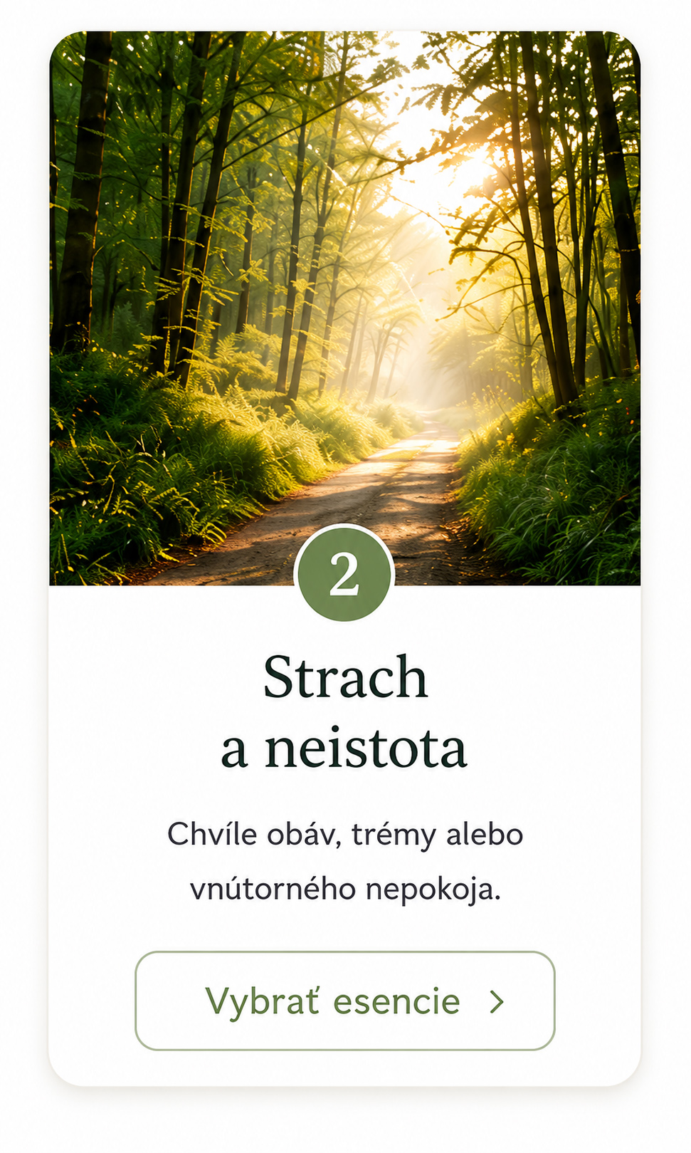 Bachove esencie - Strach a neistota